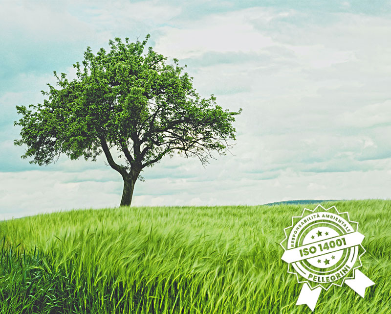 iso14001c