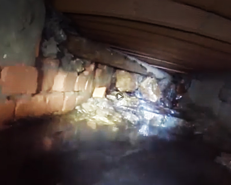 video01