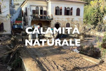 calamita_5 calamita_5